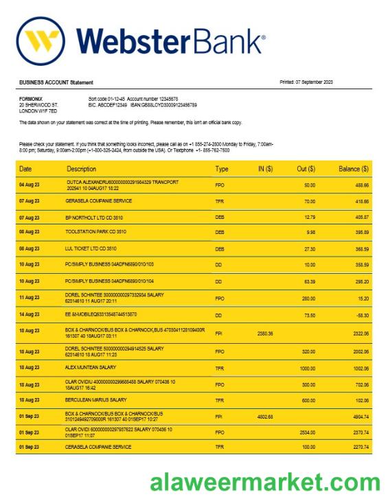 Webster Bank business statement Word and PDF template